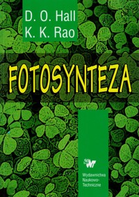 Fotosynteza - D. O. Hall, K. K. Rao - ebook