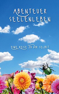 Abenteuer Seelenleben - Tina Hüsch - ebook