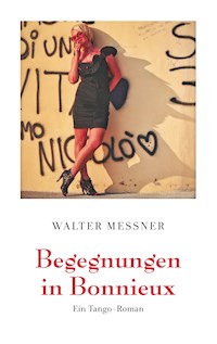 Begegnungen in Bonnieux - Walter Messner - ebook