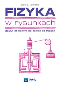 Fizyka w rysunkach - Lemons Don S. - książka