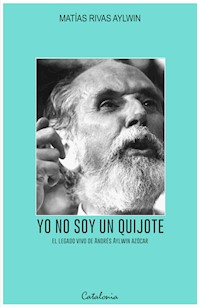 Yo no soy un Quijote - Matías ﻿Rivas Aylwin - ebook