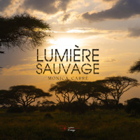 Lumière sauvage - Monica Carré - ebook
