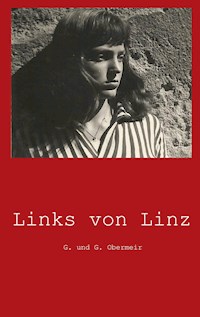 Links von Linz - Gerlinde Obermeir - ebook