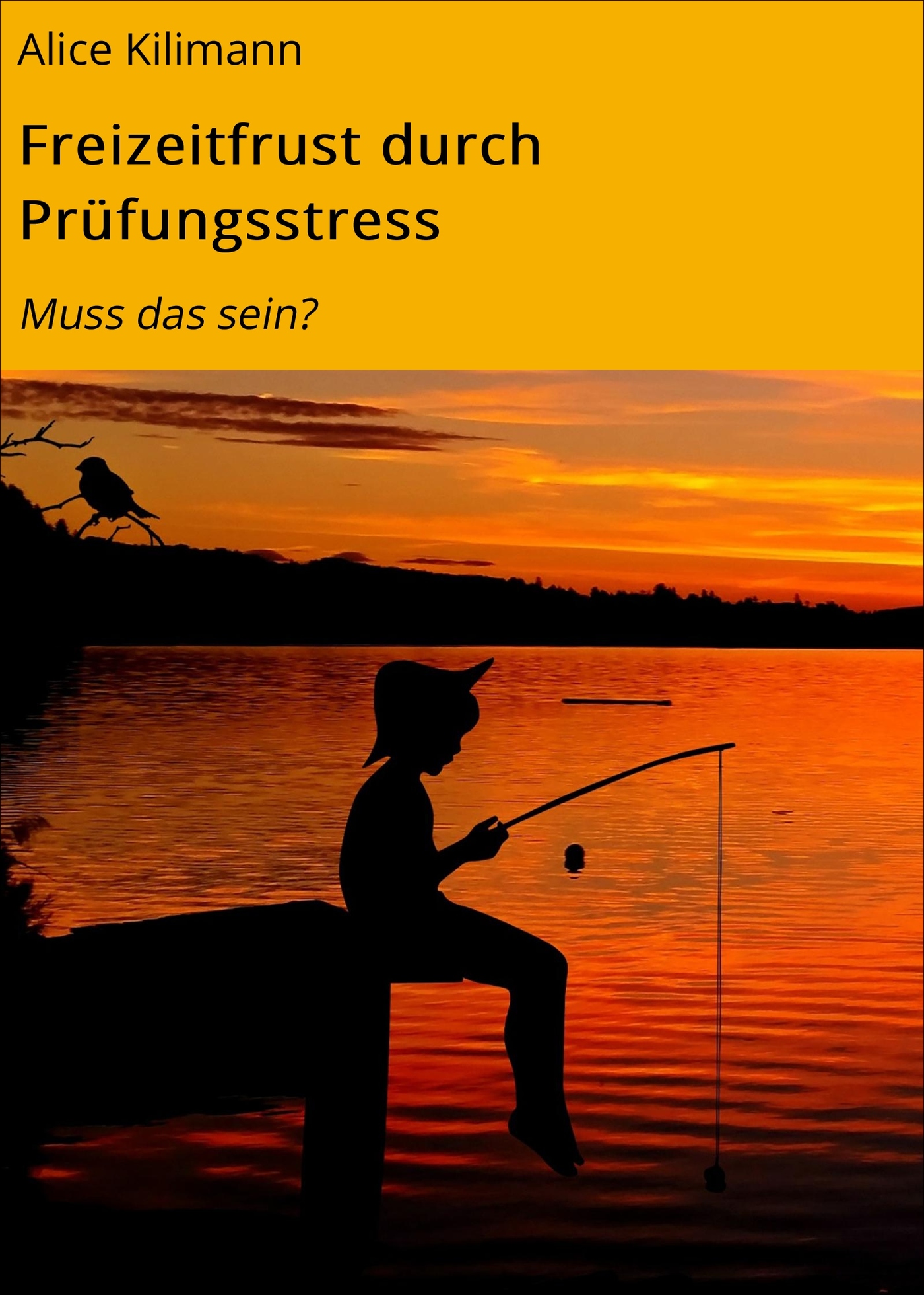 Freizeitfrust durch Prüfungsstress - Alice Kilimann - ebook