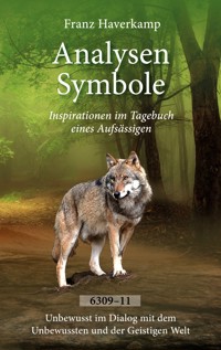 Analysen Symbole 6309-6311 - Franz Haverkamp - ebook