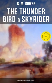 The Thunder Bird & Skyrider (Western Adventure Classics) - B.M. Bower - ebook
