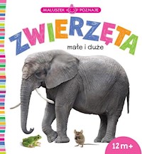 Maluszek poznaje Zwierzęta małe i duże -  - książka