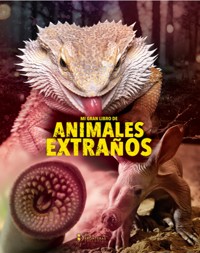 Mi gran libro de animales extraños - Grupo editorial Sin Fronteras - ebook
