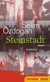 Steinstadt - Selim Özdogan - ebook