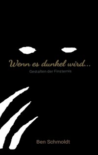 Wenn es dunkel wird ... - Ben Schmoldt - ebook