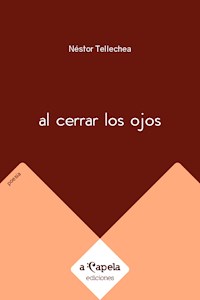 Al cerrar los ojos - Néstor Tellechea - ebook