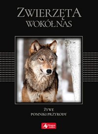 Zwierzęta wokół nas wersja exclusive - - książka
