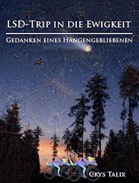 LSD-Trip in die Ewigkeit - Gedanken eines Hängengebliebenen - Crys Talix - ebook