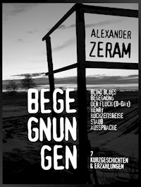 BEGEGNUNGEN - Alexander Zeram - ebook