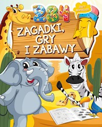 234 zagadki, gry i zabawy - Wejner Wojciech - książka