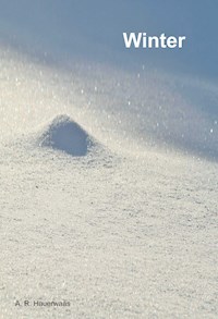 Winter - Andreas Hauerwaas - ebook