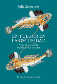 Un fulgor en la oscuridad - Julia Schnetzer - ebook