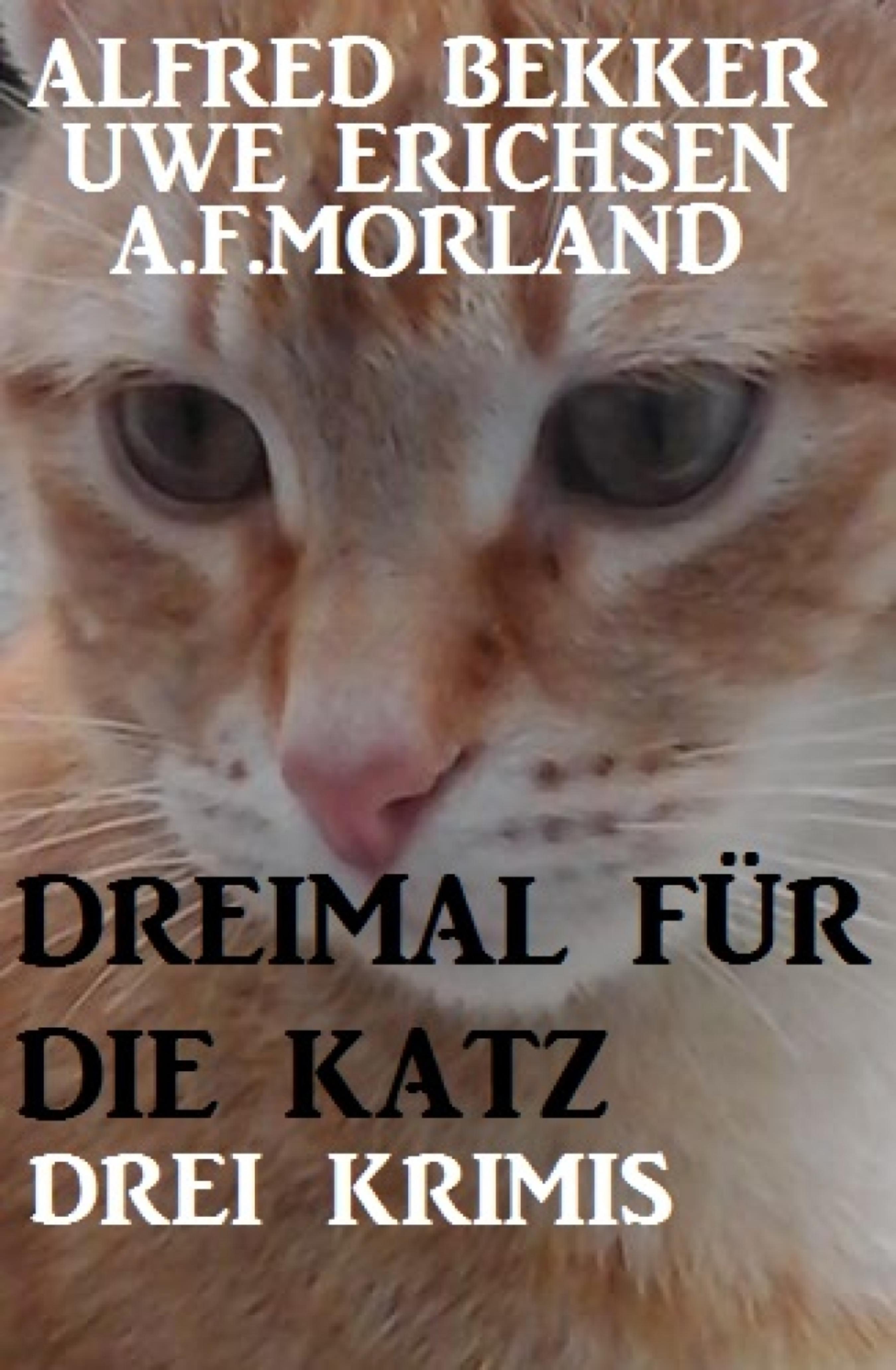 Dreimal für die Katz: Drei Krimis