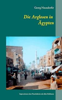Die Arglosen in Ägypten - Georg Naundorfer - ebook