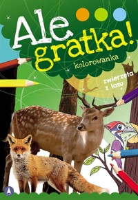 Ale gratka! Zwierzęta z lasu - Wydawnictwo Skrzat - książka