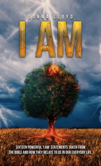 I Am - Donna Lloyd - ebook
