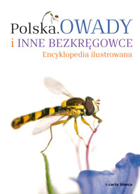 Polska Owady i inne bezkręgowce Encyklopedia ilustrowana -  - książka