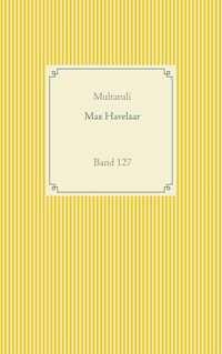 Max Havelaar - Multatuli - ebook