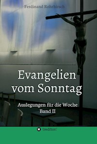 Evangelien vom Sonntag - Ferdinand Rohrhirsch - ebook