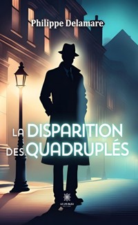La disparition des quadruplés - Philippe Delamare - ebook