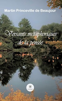 Versants métaphoriques de la pensée - Martin Princeville de Beaujour - ebook