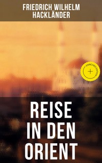 Reise in den Orient - Friedrich Wilhelm Hackländer - ebook