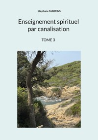 Enseignement spirituel par canalisation (Tome 3) - Stéphane Martins - ebook