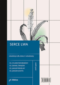 Serce lwa - Piekielny Jakub, Brzeźny Sylwester, Świątek Daniel, Kuchta Jakub - książka