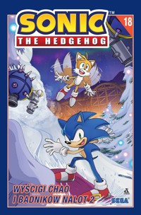 Sonic the Hedgehog 18. Wyścigi Chao i Badników nalot 2 - Evan Stanley, Adam Bryce Thomas - książka