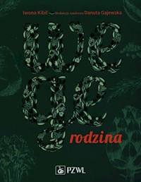 Wege rodzina Dieta roślinna w praktyce - Kibil Iwona - książka