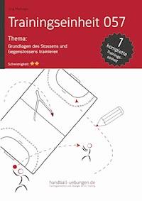 Grundlagen des Stossens und Gegenstossens trainieren (TE 057) - Jörg Madinger - ebook