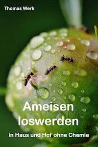 Ameisen loswerden - Thomas Werk - ebook