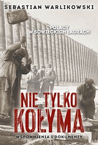 Polacy w sowieckich łagrach Nie tylko Kołyma - Warlikowski Sebastian - książka