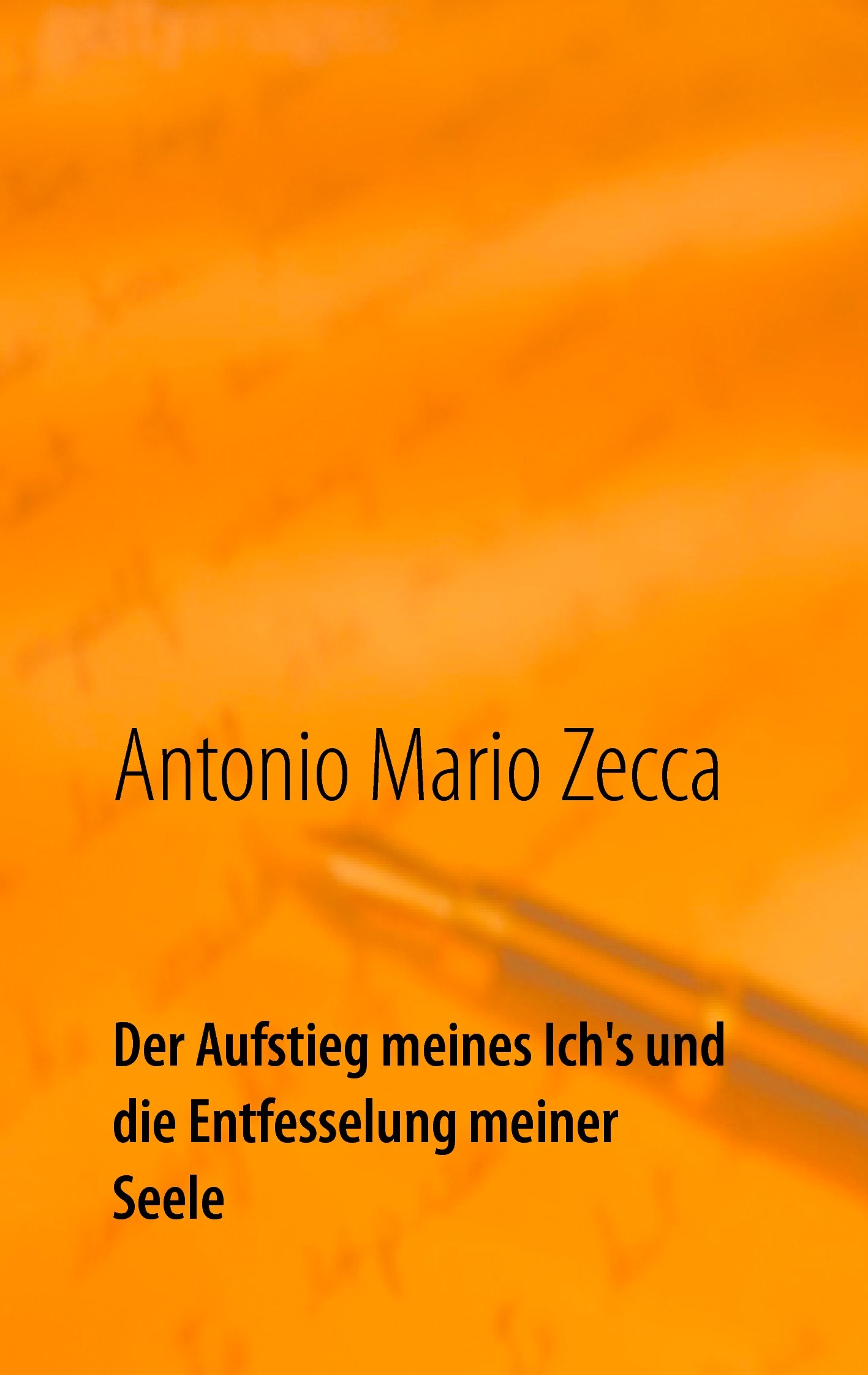 Der Aufstieg meines Ich's und die Entfesselung meiner Seele