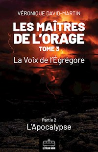 Les Maîtres de l'orage - Tome 3 : Partie 2 - Véronique David-Martin - ebook