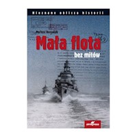 Mała flota bez mitów - Borowiak Mariusz - książka