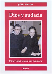 Dios y audacia - Julián Herránz Casado  - ebook