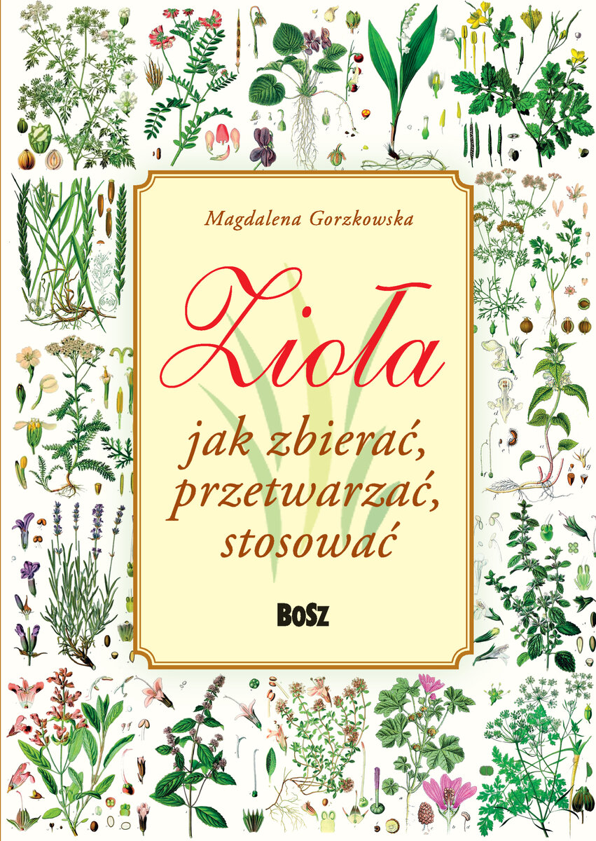 Zioła. Jak zbierać, przetwarzać, stosować - Magdalena Gorzkowska - książka