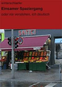 Einsamer Spaziergang - null winterschlaefer - ebook