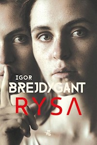 Rysa - Igor Brejdygant - książka