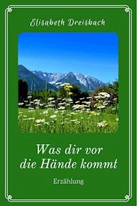 Was dir vor die Hände kommt - Elisabeth Dreisbach - ebook