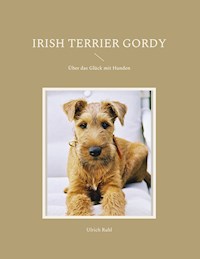 Irish Terrier Gordy - Ulrich Ruhl - ebook
