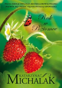 Rok w poziomce - Katarzyna Michalak - książka