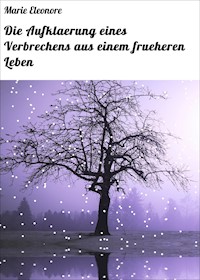 Die Aufklaerung eines Verbrechens aus einem frueheren Leben - Marie Eleonore - ebook