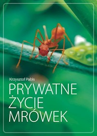 Prywatne życie mrówek - Krzysztof Pabis - książka